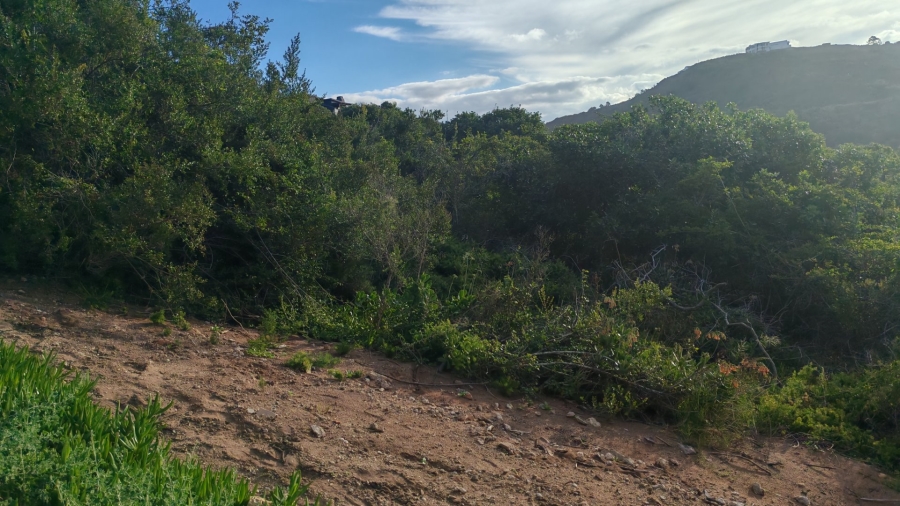 Commercial Property for Sale in Dolphin Creek Golf Estate Western Cape
